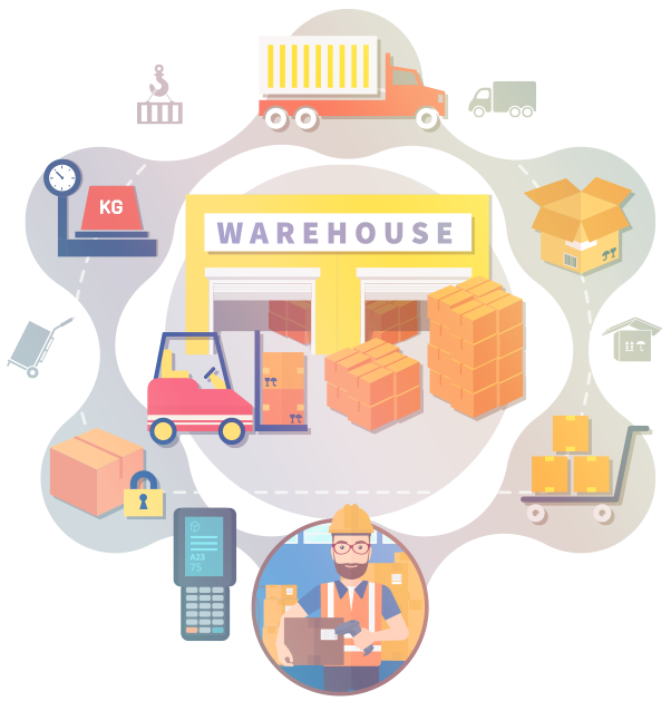 Warehouse Management System (WMS) Development: How to Create Own Custom WMS