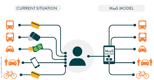 maas development